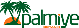 palmiye-botanik-logo